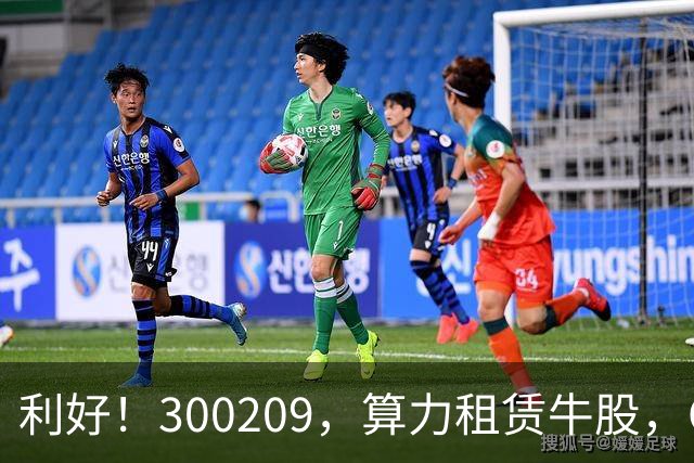 利好！300209，算力租赁牛股，Q3营收大增55倍