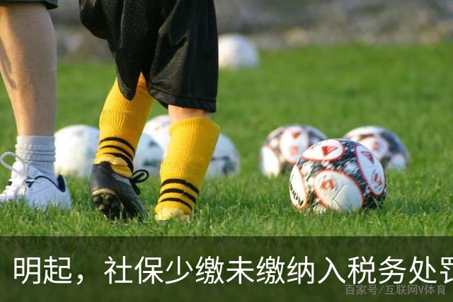 明起，社保少缴/未缴纳入税务处罚！