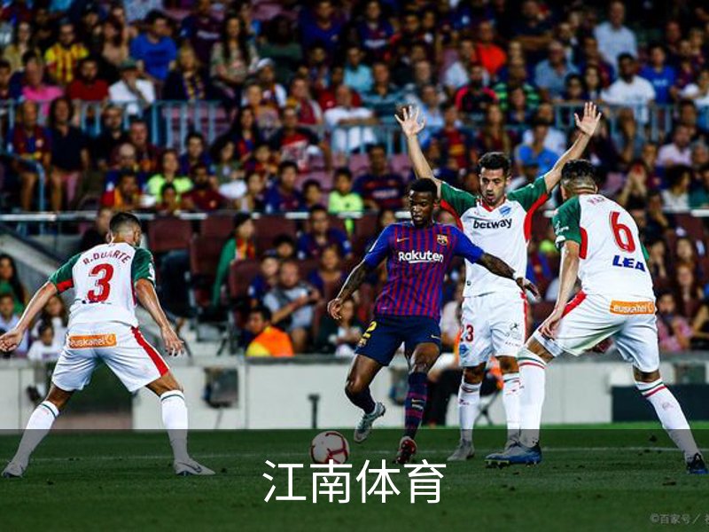 企业介绍